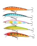 KGDUYC 5PCS angel köder,Große Angelköder Set forellenköder Angelköder zum Raubfisch Angeln auf...