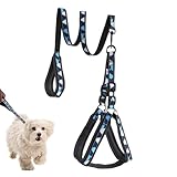Geschirr und Leine für Hunde | Reflektierende Hundeleine für Welpen | Geschirr und Leine,...