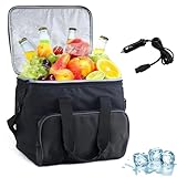 Tragbare elektrische Kühltasche, 15 l – 12 V Gleichstrom, Auto-Kühlschrank mit Schultergurt und...