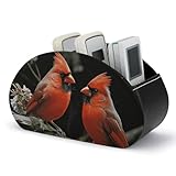 NWTRJ Cardinals Fernbedienungshalter aus PU-Leder mit 5 Fächern, Schreibtisch-Organizer,...