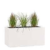 Pflanzwerk® Pflanzkübel TUB Sand 30x60x30cm XXL – Rechteckig – Großer Fiberglas Blumenkübel...