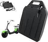 WXFKLDJ 60V 12Ah 20Ah 24Ah 28Ah Ebike Lithium-Akku 60 Volt Wiederaufladbarer Li-Ionen-Akku Für Fat...