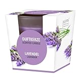 pajoma® Duftkerze, Lavendel - im satinierten Glas | 120g Wachsgewicht, Brenndauer: 25 Stunden, in...