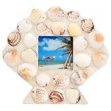 LOORGVEL Muschel Bilderrahmen 15X15cm Fotorahmen mit Muschel Dekor für Schreibtisch und Wohnraum...