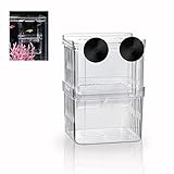 Boxtech Aquarium Zuchttanks,Fischer Ableichbecken,Garnelen Aufzuchtbecken,Aquarien...
