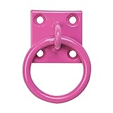 Perry Equestrian Platte mit Anbindering (2 Stück/Packung) (Einheitsgröße) (Pink)