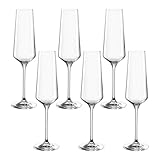LEONARDO HOME PUCCINI Sektglas, Glas, klar, 6 Stück (1er Pack), 6