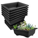 6 Stück Bonsai Schale, 16x12x6cm Topf Mit Tabletts, Kunststoff Pot, Wiederverwendbar Töpfe...