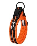 PETTOM Hundehalsband Verstellbare Nylon Hunde Halsband Atmungsaktives Reflektierend Halsband (Orange...