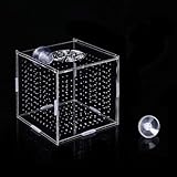 Acryl Fischzuchtbox, Acryl Isolationsbox Aquarium Fischabscheider für Aquarium Aquarienfisch...