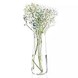 Krosno Tall Glass Flower Vase | Pure Collection | 240 mm Höhe | Glasvasen für Blumen | Perfekt...