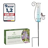DAAS24 Regenmesser – Regenmesser für Garten – Frostbeständiges Glas – Niederschlagsmesser...