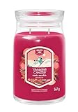 Yankee Candle Duftkerze im Glas (groß) SANTA ON SKIS - Signature Kerze 'Winterkollektion 2025 -...