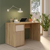 Forte ELISTON Schreibtisch 120, moderner Schreibtisch mit Lamellendesign, Schrank und Schublade,...