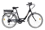 Denver Discovery E4000 E-Bike, City Bike mit 26 Zoll Rädern, Shimano 6-Gang-Schaltung für Damen,...