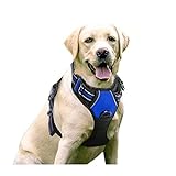 Hundegeschirr für große mittelgroße kleine Hunde | Brustgeschirr einstellbar und atmungsaktiv |...