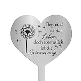 VVQWCY Grabschmuck Wetterfest, Grabstecker Edelstahl Herz, Das Leben ist begrenzt doch die...