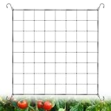 Tatxmalv Pflanzennetz 80 x 80cm, Elastische Scrog Netz, mit 4 Haken, Grow Netz für Kletterpflanzen,...