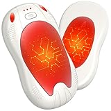 FANDLISS Handwärmer Elektrisch, 2er Taschenwärme mit 10000mAh, Zweiseitige Heizung, USB...