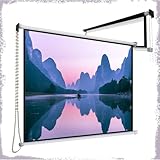 EIYAVVIDV Manuell Filmleinwand Beamer Leinwand 30 Zoll 40 Zoll Mini Projektionsleinwand Klein...