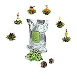 Creano Teeblumen 36 Teekugeln grüner Tee Großpackung, Erblühtee im Bulkpack, Teerosen, Blooming...