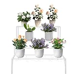 RUETERY Pflanzentreppe, 3 Stufiger Pflanzentreppe Outdoor mit Verzierung, Blumenbank Belastbar bis...