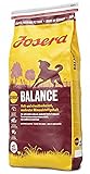 JOSERA Balance (1 x 15 kg) | fett- und eiweißreduziertes Hundefutter für Senioren | glutenfrei |...