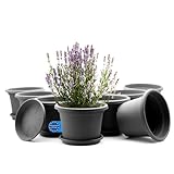 BigDean 8 Stück Blumentopf mit Untersetzer rund ø 25 cm Anthrazit – wetterfester Pflanzkübel...