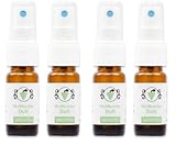 WcWunder Toilettenduft, Toilettenparfüm, Geruchsblocker ´to go´-Versionen (Green Tea, 4 x 10ml)