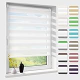 Doppelrollo klemmfix ohne Bohren, Duo Rollos für Fenster & Tür mit Bohren, Version 2025 Weiß B45...
