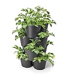 Kartoffel und Tomaten Anzucht Pflanzturm 65 x 42 cm - 4er Set - Kunststoff Säulentopf in anthrazit...