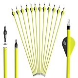 S F Bogenschießen Erwachsene Pfeile für bogenschießen Carbonpfeile，Geeignet für compoundbogen...
