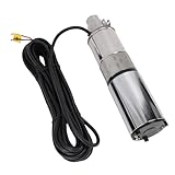 Xiuganpo Solar-Edelstahl-Tiefbrunnenpumpe mit 260 W für die Bewässerung mit 1,2 M³/h Durchfluss,...