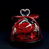 Mr. Gadget's Solutions Rote Rose Geschenk-Box, verzauberte echte Rose, ewige Rose Blume in...