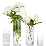 Winter Shore Durchsichtige Vase Glas [4er-Pack] - Glasvase Zylinder in 4 Größen - Hohes Pflanzen-,...