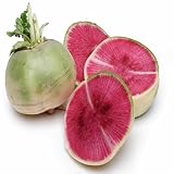 60 Stück Radieschen - Radieschen - Winterrettich - Wassermelonen-Gemüsesamen