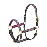 SIE EQUESTRIAN Lederhalfter mit Messingbeschlägen, Rosa und Schwarz (Braun mit Kastanienbrauner...