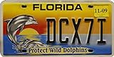USA Nummernschild FLORIDA : Motiv-Schild Auto-Kennzeichen : Blechschild US License Plate