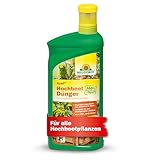 Neudorff Azet HochbeetDünger – 100% natürlicher Bio Dünger für eine leckere und aromatische...