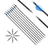 6 Stück 28-Zoll 500-Spine Pfeil Abnehmbare Pfeilspitzen Übungspfeil Jagdpfeil 2 Zoll Pfeilfedern...