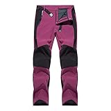 Generisch Skihose Damen Große Größen Snowboardhose Ski Hosen Warme Winddichte wasserdichte...