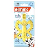 elmex 2-in-1 Baby Zahnbürste und Beißring 0-12 Monate, 1 Stück – gewöhnt Babys an das...