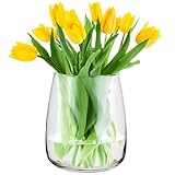 TREND FOR HOME Glasvase Gross H: 22.7 cm Vase für Pampasgras Glasvase Rund Vasen Groß Vasen...