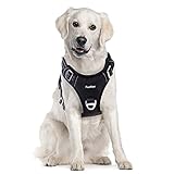 Funfox Hundegeschirr Mittelgroße Hunde, Anti Zug Brustgeschirr Verstellbares Geschirr Hund mit...