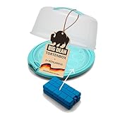 BigDean Tortenbehälter mit Kühlakku Kuchen Transportbox mit Kühlung inkl. 2 Kühlakkus Made in...