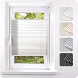Plissee Klemmfix ohne Bohren B35 x H130 cm Weiß Faltrollo Jalousie für Tür & Fenster Blickdicht...
