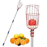 Dubbulon Obstpflücker | 4 m Orangen Pflücker mit Teleskopgriff | Tragbarer Erntestab Zum Pflücken...
