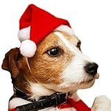 Weihnachtsmütze für Haustiere, Weihnachtsmannmütze für Hunde, kleine Weihnachtsmannmützen,...