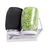 Uitndvyte Glas-Sprouter Set mit belüftetem Boden und lichtblockierendem Deckel für Alfalfa,...