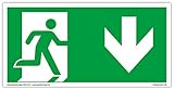 Schild Notausgang | extra langnachleuchtend | PVC selbstklebend 297x148mm | gemäß ASR A1.3 DIN...